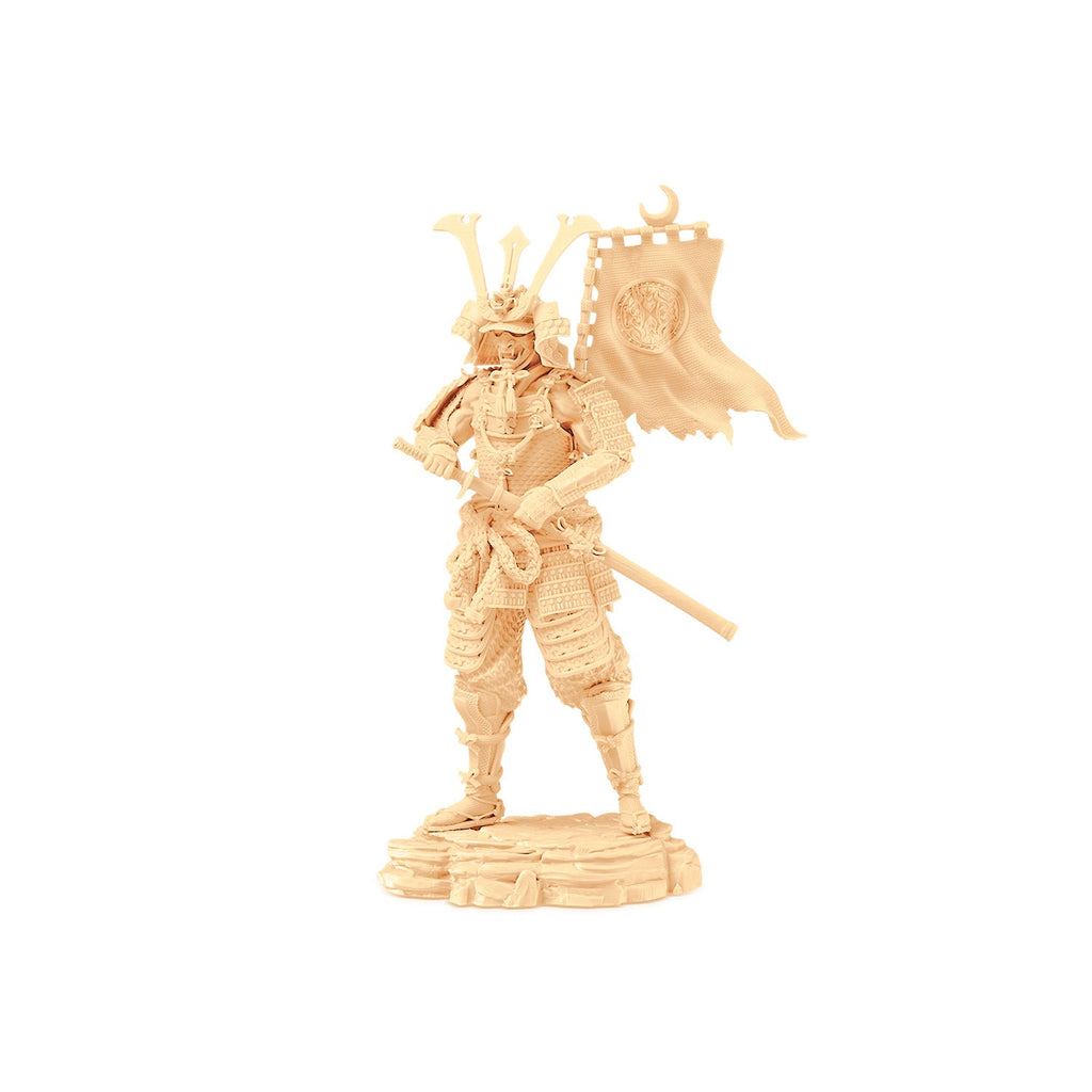 Anycubic Standard Resin